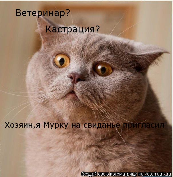 Котоматрица: Ветеринар? Кастрация? -Хозяин,я Мурку на свиданье пригласил!