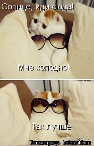 Котоматрица: Солнце, иди сюда! Мне холодно! Так лучше