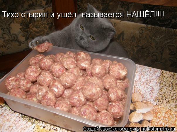 Котоматрица: Тихо стырил и ушёл- называется НАШЁЛ!!!!