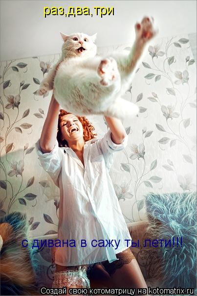 раз,два,три с дивана в сажу ты лети!!!... Котоматрица: раз,два,три с дивана в сажу ты лети!!!