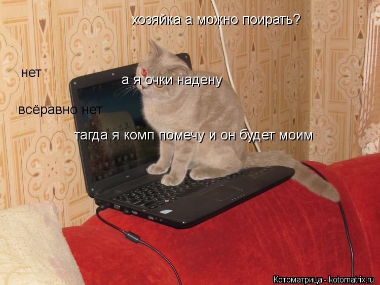 Котоматрица: нет а я очки надену всёравно нет тагда я комп помечу и он будет моим хозяйка а можно поирать?