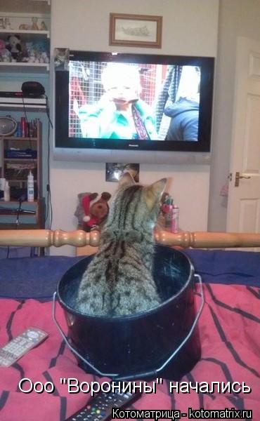 Ооо "Воронины" начались... Котоматрица: Ооо "Воронины" начались