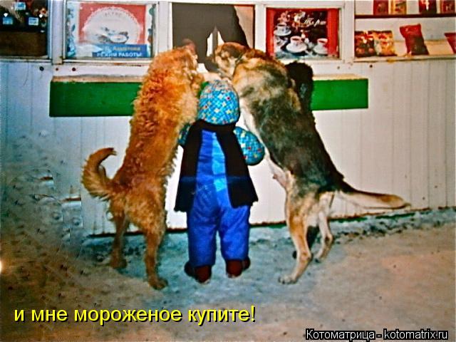 Котоматрица: и мне мороженое купите!