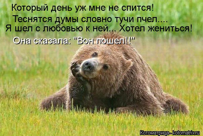Котоматрица: Который день уж мне не спится! Теснятся думы словно тучи пчел.... Я шел с любовью к ней... Хотел жениться! Она сказала: "Вон пошел!!"