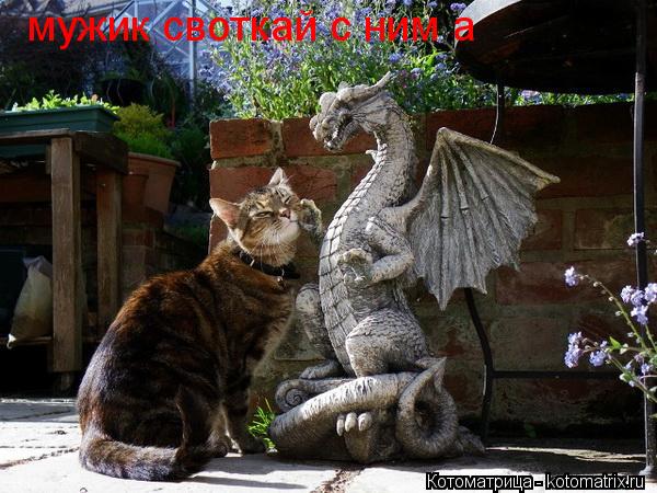 Котоматрица: мужик своткай с ним а