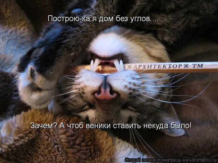 Котоматрица: Построю-ка я дом без углов.... Зачем? А чтоб веники ставить некуда было!