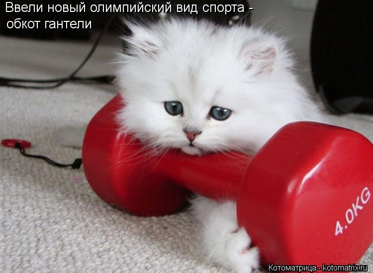 Котоматрица: Ввели новый олимпийский вид спорта -  обкот гантели