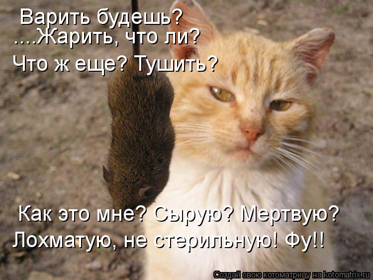 Котоматрица: Варить будешь? ....Жарить, что ли? Что ж еще? Тушить? Как это мне? Сырую? Мертвую? Лохматую, не стерильную! Фу!!