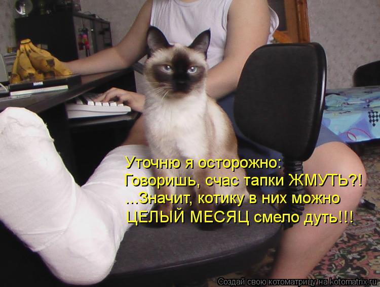 Уточню я осторожно: Говоришь, счас тапки ЖМУТЬ?! ...Значит, котику в них можно ЦЕЛЫЙ МЕСЯЦ смело дуть... Котоматрица: Уточню я осторожно: Говоришь, счас тапки ЖМУТЬ?! ...Значит, котику в них можно ЦЕЛЫЙ МЕСЯЦ смело дуть!!!