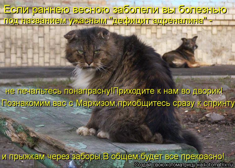 Если раннею весною заболели вы болезнью под названием ужасным "дефицит адреналина" - не печальтесь п... Котоматрица: Если раннею весною заболели вы болезнью под названием ужасным "дефицит адреналина" - не печальтесь понапрасну!Приходите к нам во дворик! и