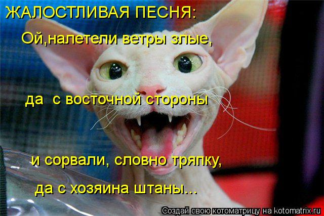 Котоматрица: Ой,налетели ветры злые,  ЖАЛОСТЛИВАЯ ПЕСНЯ: да  с восточной стороны и сорвали, словно тряпку,  да с хозяина штаны...