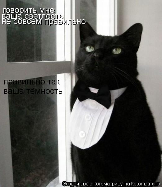 Котоматрица: говорить мне  ваша светлость не совсем правильно правильно так ваша тёмность