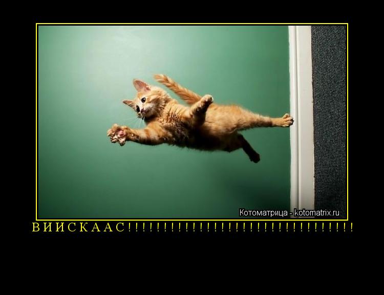 Котоматрица: ВИИСКААС!!!!!!!!!!!!!!!!!!!!!!!!!!!!!!!! 