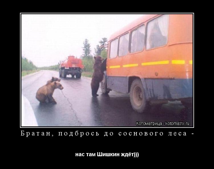 Котоматрица: Братан, подбрось до соснового леса -  нас там Шишкин ждёт)))
