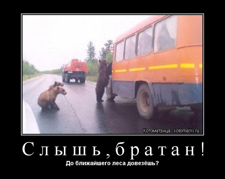 Котоматрица: Слышь,братан! До ближайшего леса довезёшь?