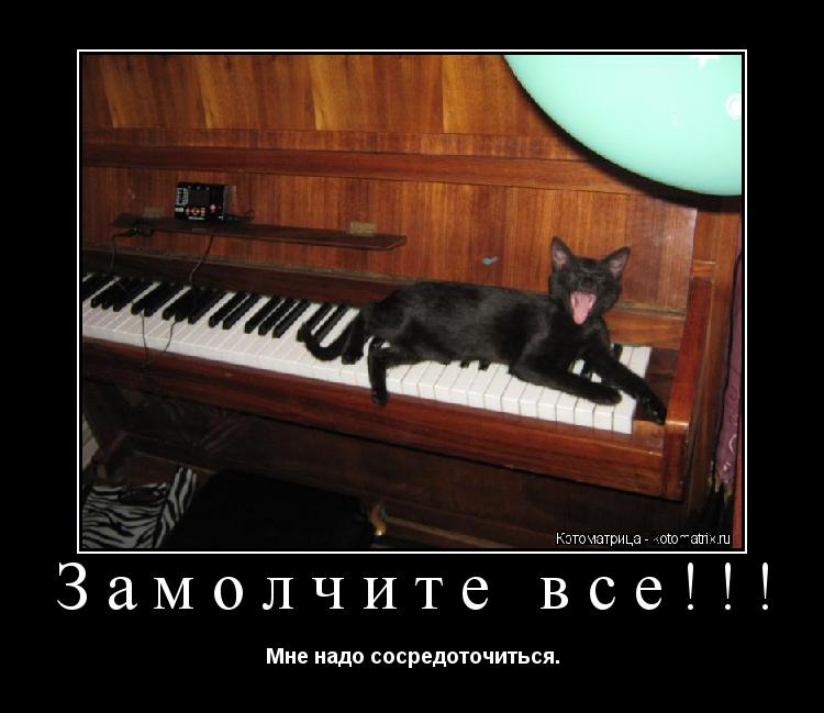 Котоматрица: Замолчите все!!! Мне надо сосредоточиться.