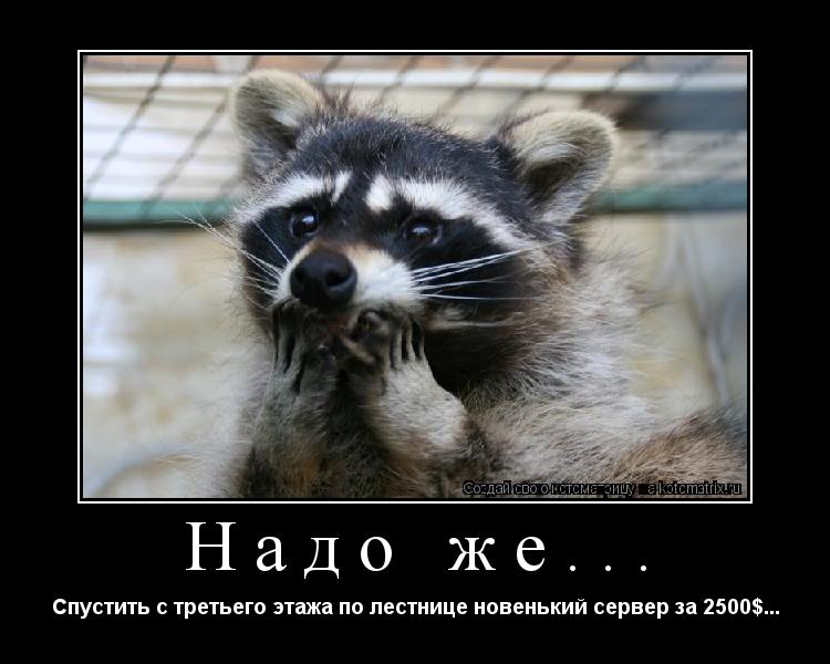 Котоматрица: Надо же... Спустить с третьего этажа по лестнице новенький сервер за 2500$...