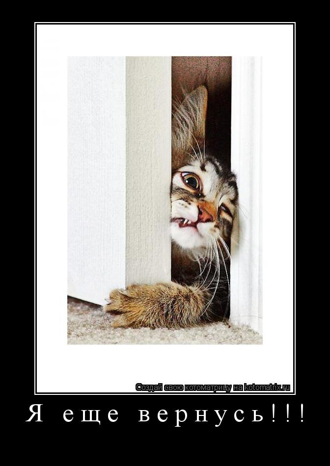 Котоматрица: Я еще вернусь!!! 