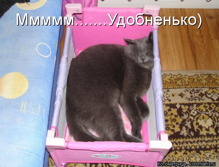 Котоматрица: Ммммм.......Удобненько)