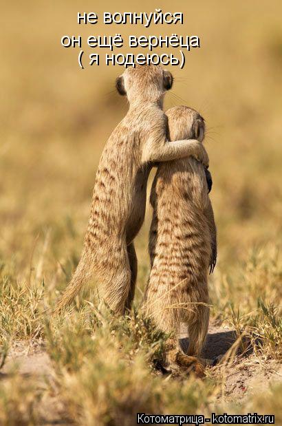 не волнуйся он ещё вернёца ( я нодеюсь)... Котоматрица: не волнуйся он ещё вернёца ( я нодеюсь)