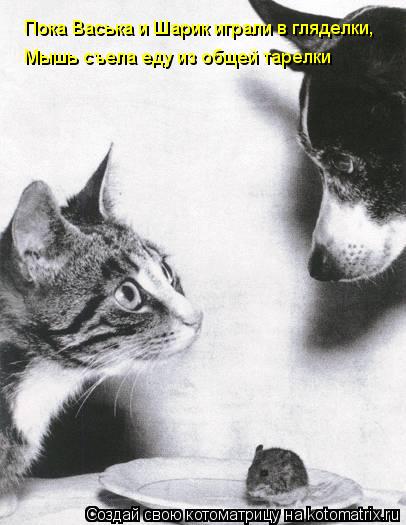 Котоматрица: Пока Васька и Шарик играли в гляделки, Мышь съела еду из общей тарелки