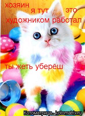 Котоматрица: хозяин я тут  это художником работал ты жеть уберёш