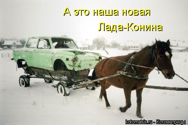 Котоматрица: А это наша новая Лада-Конина