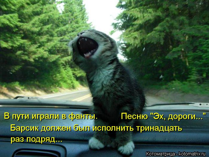 Котоматрица: В пути играли в фанты. Песню "Эх, дороги..."  Барсик должен был исполнить тринадцать раз подряд...