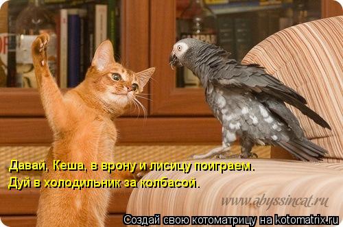 Котоматрица: Давай, Кеша, в врону и лисицу поиграем. Дуй в холодильник за колбасой.
