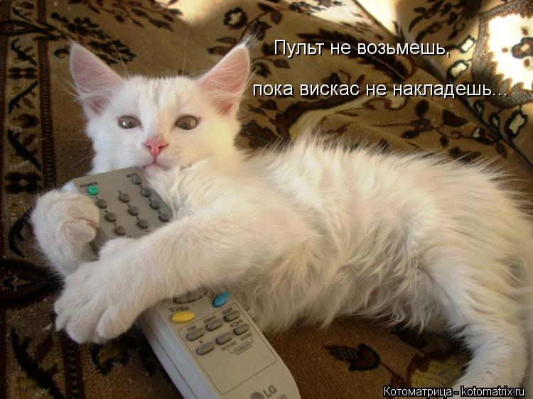 Котоматрица: Пульт не возьмешь, пока вискас не накладешь...