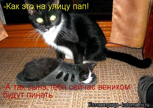 Котоматрица: -Как это на улицу пап! -А так сына,тебя сейчас веником  будут пинать
