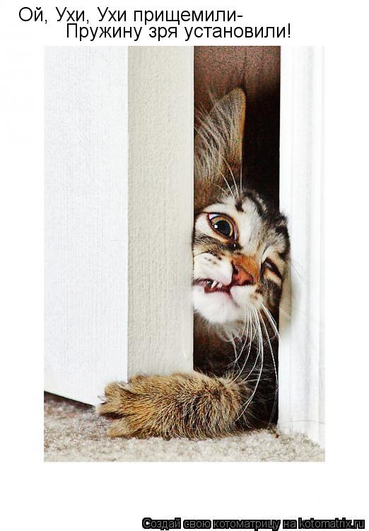 Котоматрица: Ой, Ухи, Ухи прищемили- Пружину зря установили!