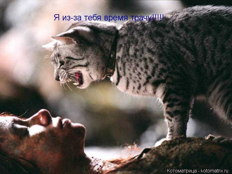 Котоматрица: Я из-за тебя время трачу!!!!!