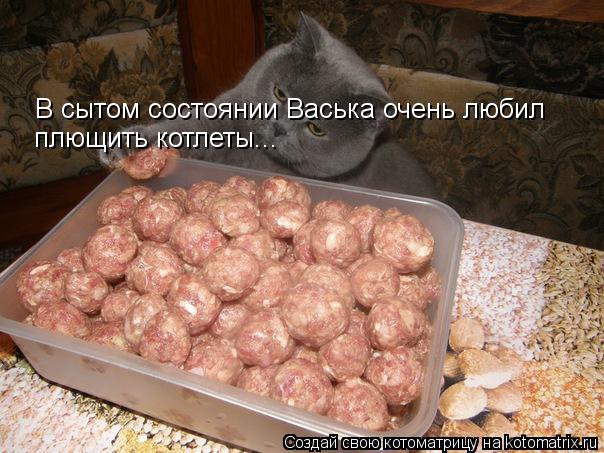 Котоматрица: В сытом состоянии Васька очень любил плющить котлеты...