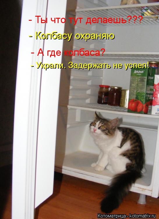 Котоматрица: - Ты что тут делаешь??? - Колбасу охраняю - А где колбаса? - Украли. Задержать не успел!