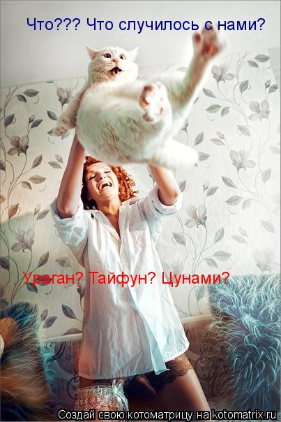 Котоматрица: Что??? Что случилось с нами? Ураган? Тайфун? Цунами?