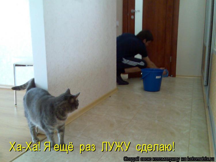 Ха-Ха! Я ещё раз ЛУЖУ сделаю!... Котоматрица: Ха-Ха! Я ещё раз ЛУЖУ сделаю!