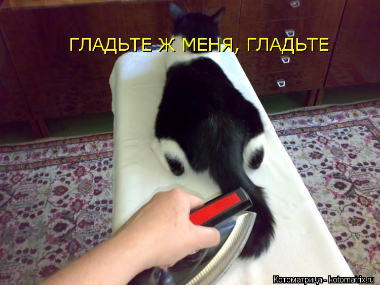 Котоматрица: ГЛАДЬТЕ Ж МЕНЯ, ГЛАДЬТЕ