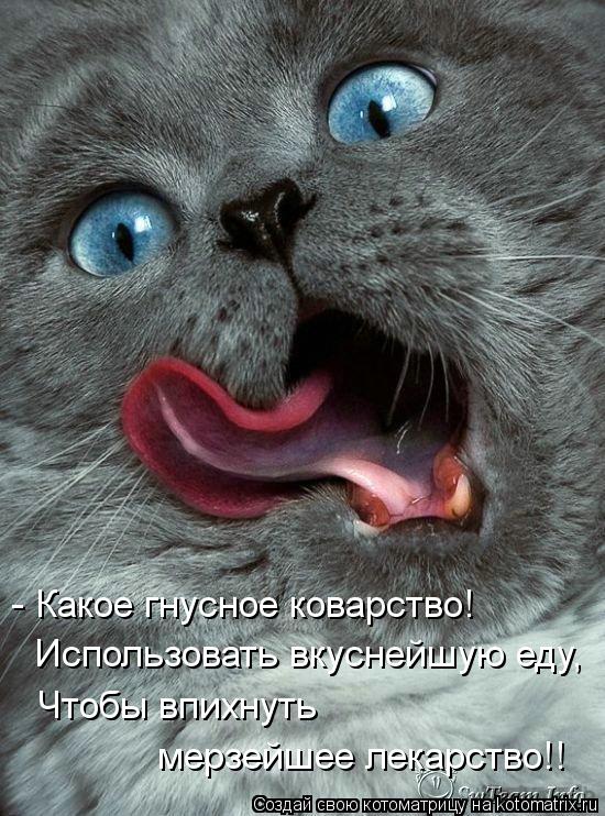 - Какое гнусное коварство! Использовать вкуснейшую еду, Чтобы впихнуть мерзейшее лекарство!!... Котоматрица: - Какое гнусное коварство! Использовать вкуснейшую еду, Чтобы впихнуть мерзейшее лекарство!!