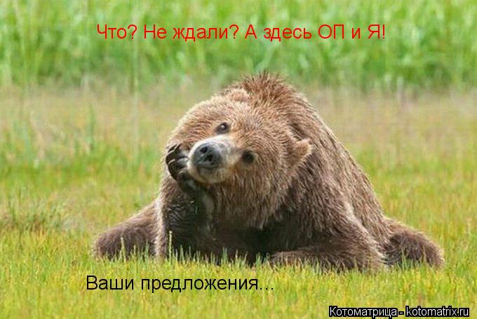 Котоматрица: Что? Не ждали? А здесь ОП и Я! Ваши предложения...