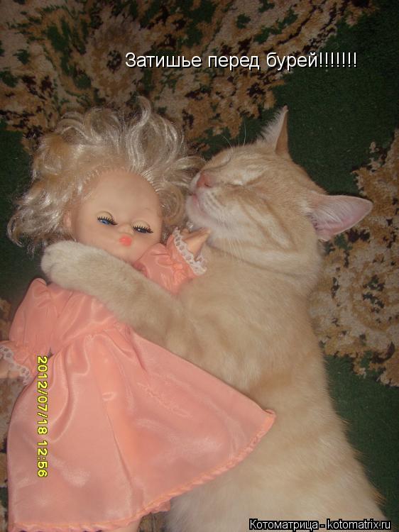 Котоматрица: Затишье перед бурей!!!!!!!