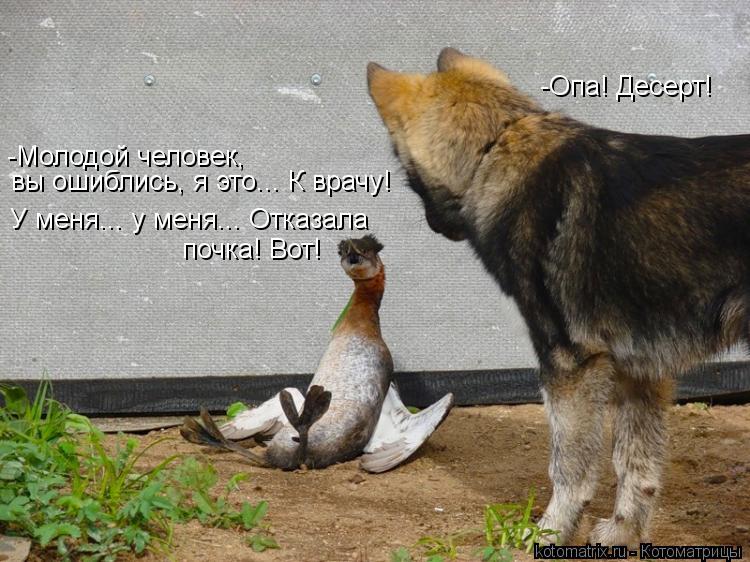 -Опа! Десерт! -Молодой человек, вы ошиблись, я это... К врачу! У меня... у меня... Отказала почка! ... Котоматрица: -Опа! Десерт! -Молодой человек, вы ошиблись, я это... К врачу! У меня... у меня... Отказала почка! Вот!