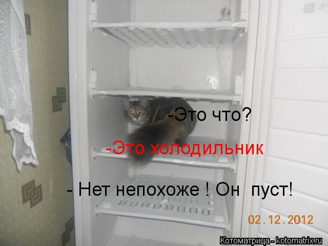 -Это что? -Это холодильник - Нет непохоже ! Он пуст!... Котоматрица: -Это что? -Это холодильник - Нет непохоже ! Он пуст!