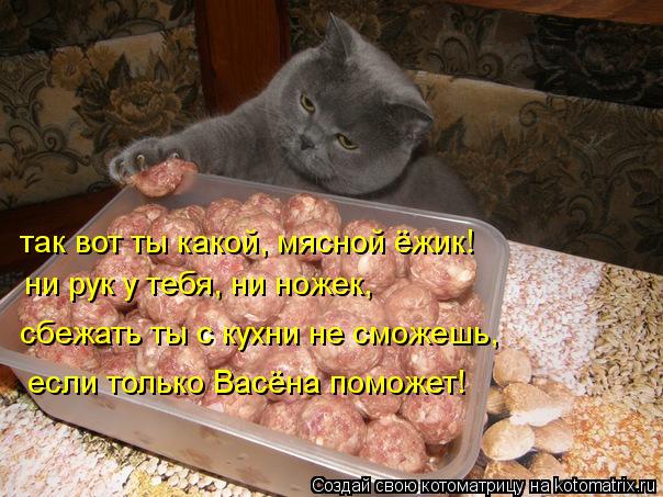 Котоматрица: так вот ты какой, мясной ёжик! ни рук у тебя, ни ножек, сбежать ты с кухни не сможешь, если только Васёна поможет!