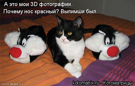 Котоматрица: А это мои 3D фотографии. Почему нос красный? Выпимши был.