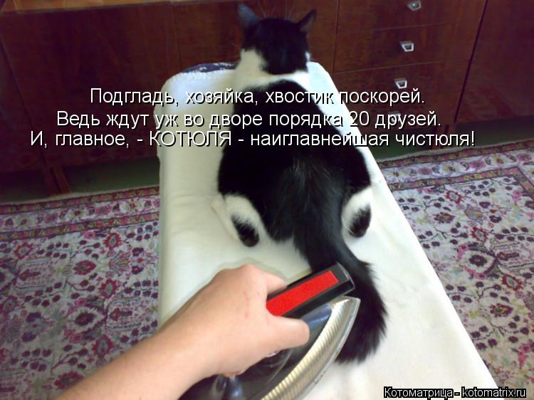 Котоматрица: Подгладь, хозяйка, хвостик поскорей. Ведь ждут уж во дворе порядка 20 друзей. И, главное, - КОТЮЛЯ - наиглавнейшая чистюля!