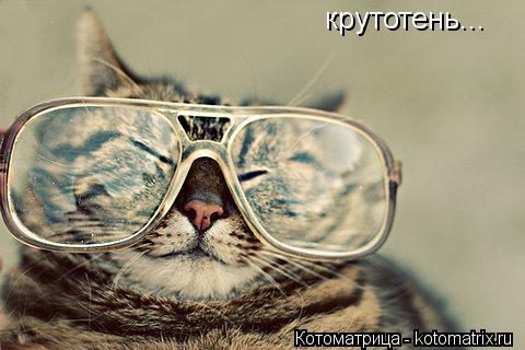 Котоматрица: крутотень...