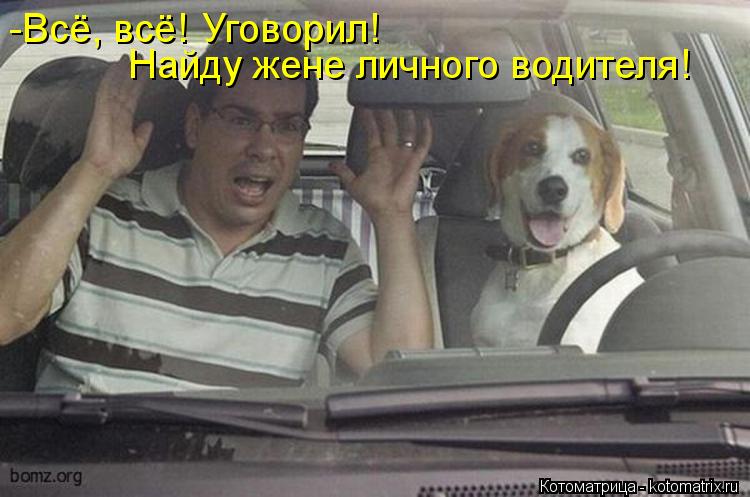 -Всё, всё! Уговорил! Найду жене личного водителя!... Котоматрица: -Всё, всё! Уговорил! Найду жене личного водителя!