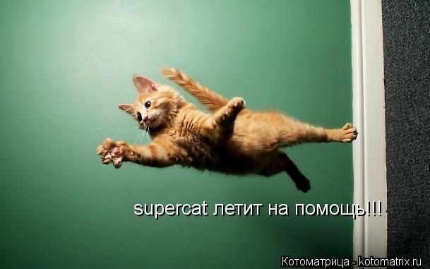Котоматрица: supercat летит на помощь!!!