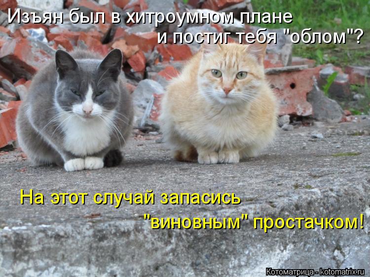 Котоматрица: На этот случай запасись  "виновным" простачком! Изъян был в хитроумном плане и постиг тебя "облом"?